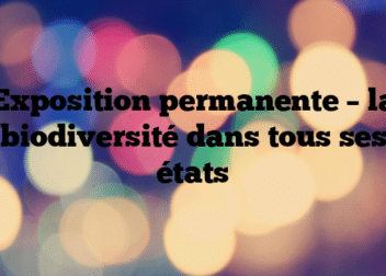 Exposition permanente – la biodiversité dans tous ses états
